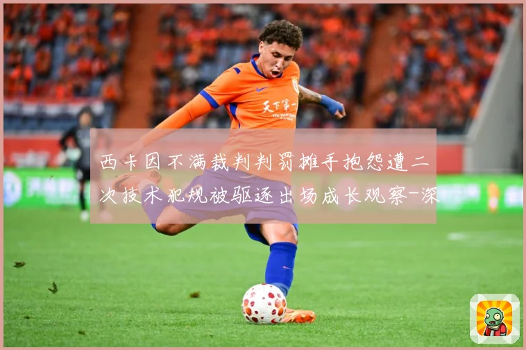西卡因不满裁判判罚摊手抱怨遭二次技术犯规被驱逐出场成长观察-深度解析