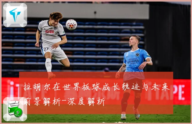 拉胡尔在世界板球成长轨迹与未来前景解析-深度解析