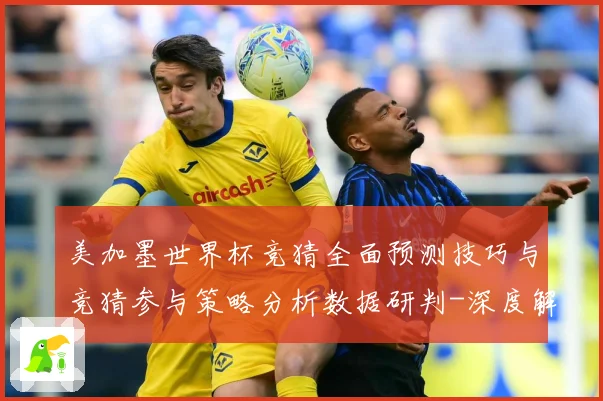 美加墨世界杯竞猜全面预测技巧与竞猜参与策略分析数据研判-深度解析