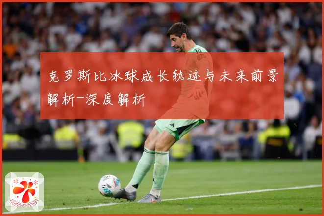 克罗斯比冰球成长轨迹与未来前景解析-深度解析