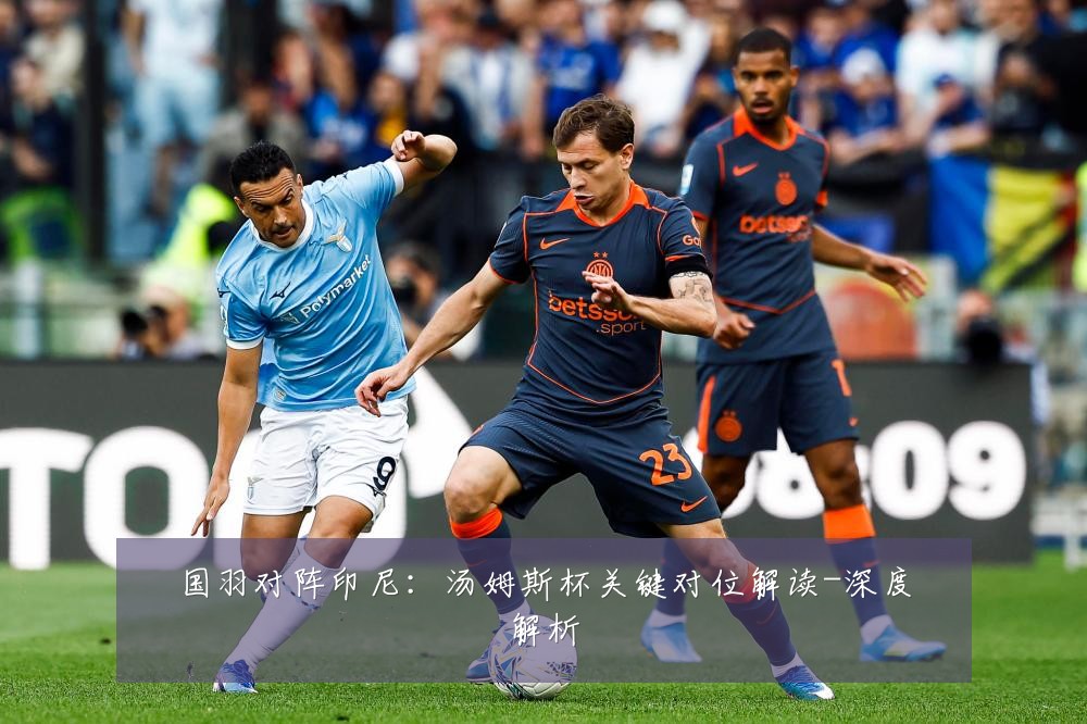 国羽对阵印尼：汤姆斯杯关键对位解读-深度解析